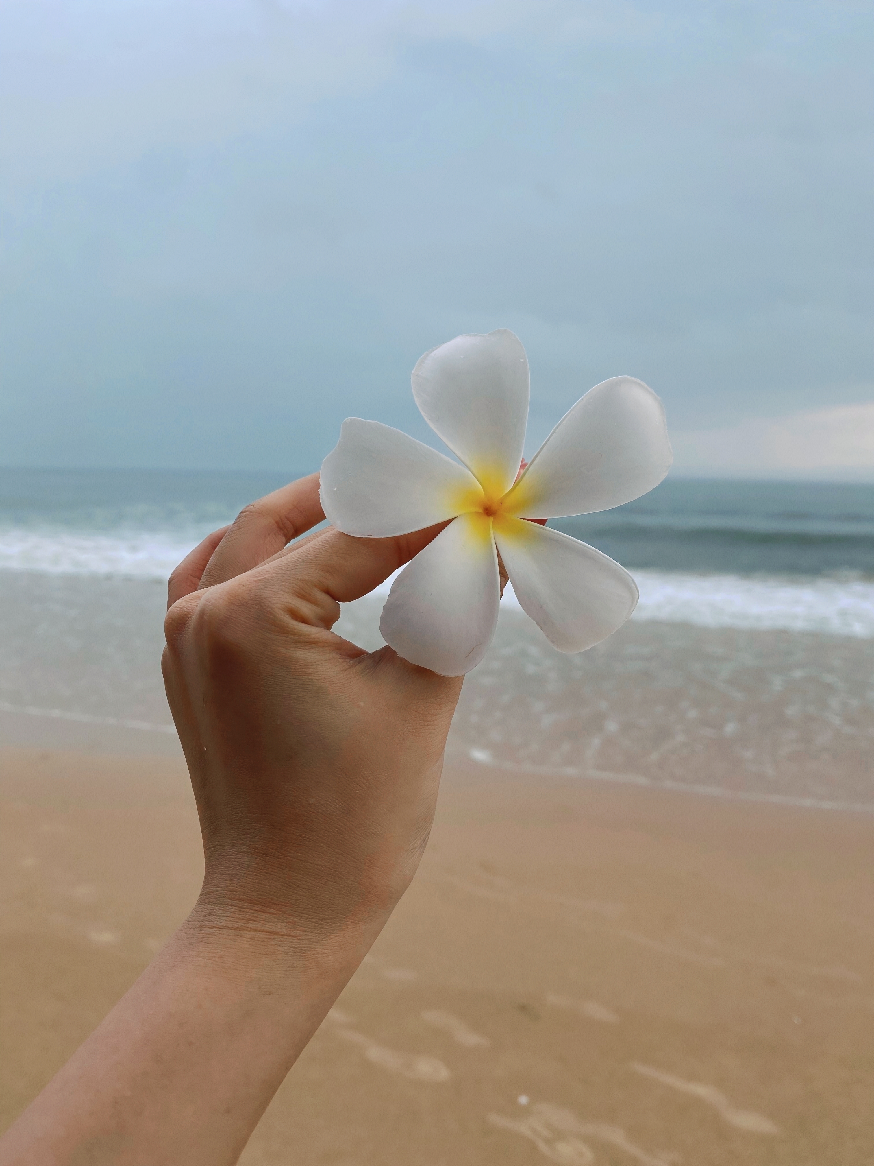 Có nhiều cách sống và nhiều cách chết